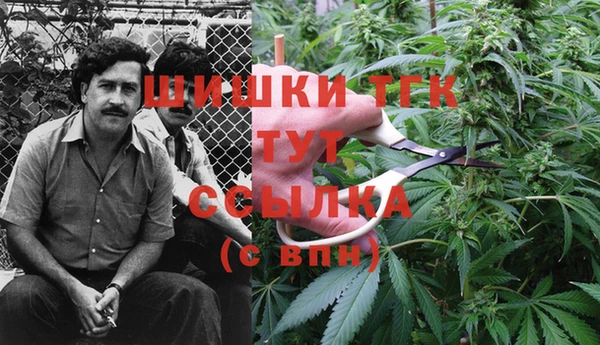 герыч Гусев